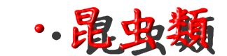 昆虫・虫図鑑(こんちゅう・むしずかん) 昆虫図鑑(こんちゅうずかん)