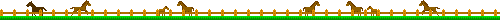 �����ʐ^�̂g�o