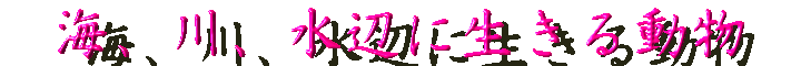 �����}�� - �C�A��A���ӂɐ����铮��